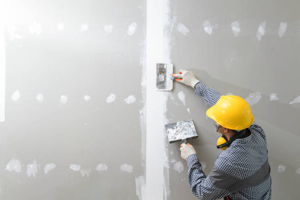Best Post-Construction Mold Inspection  in Roebuck, SC
